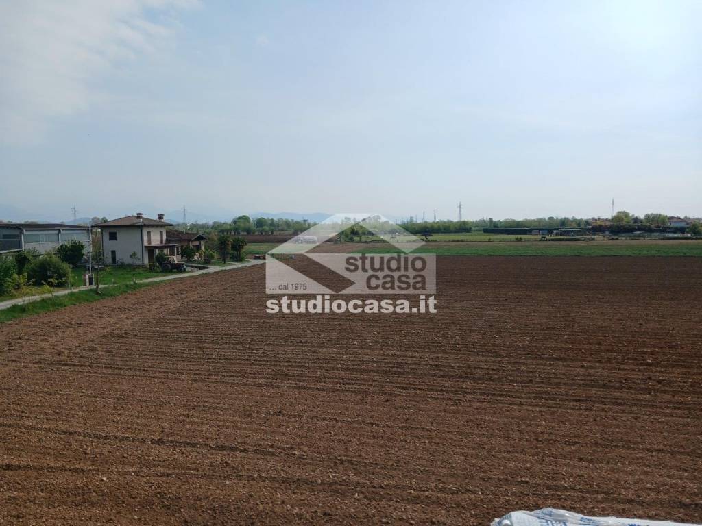 immagine annuncio 12 di 14