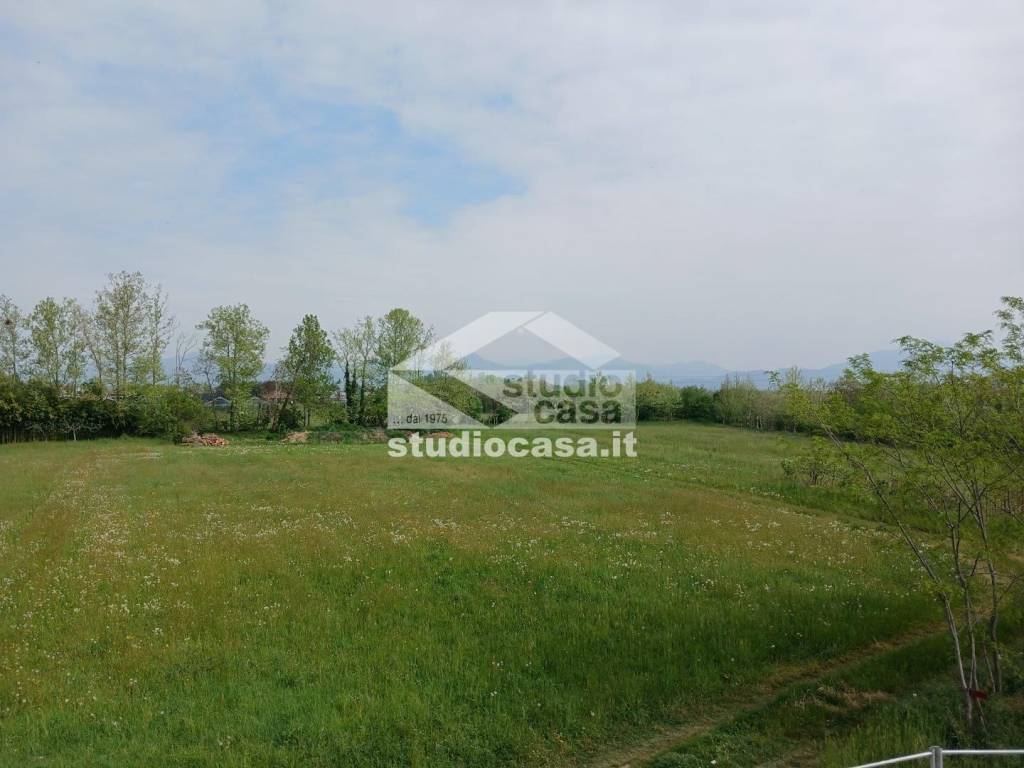 immagine annuncio 7 di 14