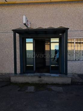 immagine annuncio 1 di 8