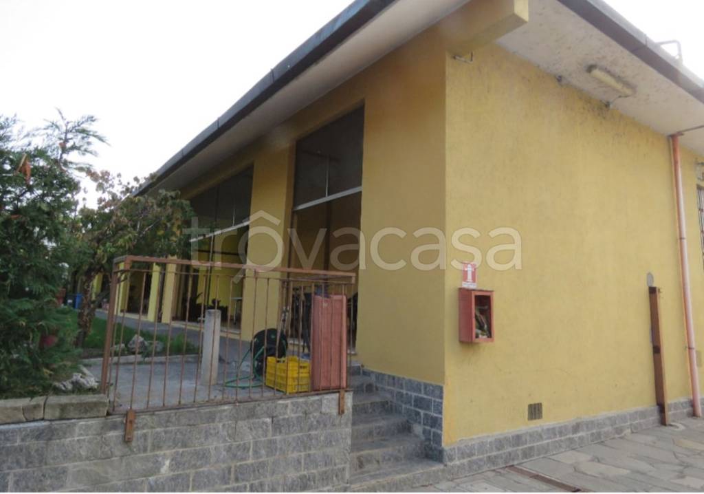 immagine annuncio 4 di 12