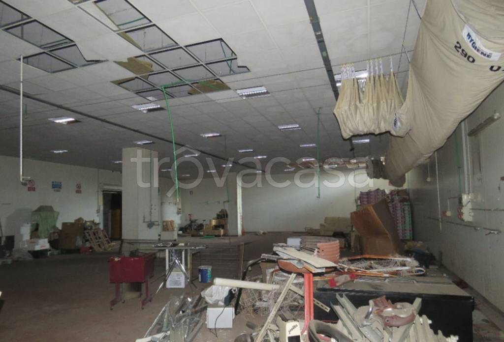 immagine annuncio 9 di 12