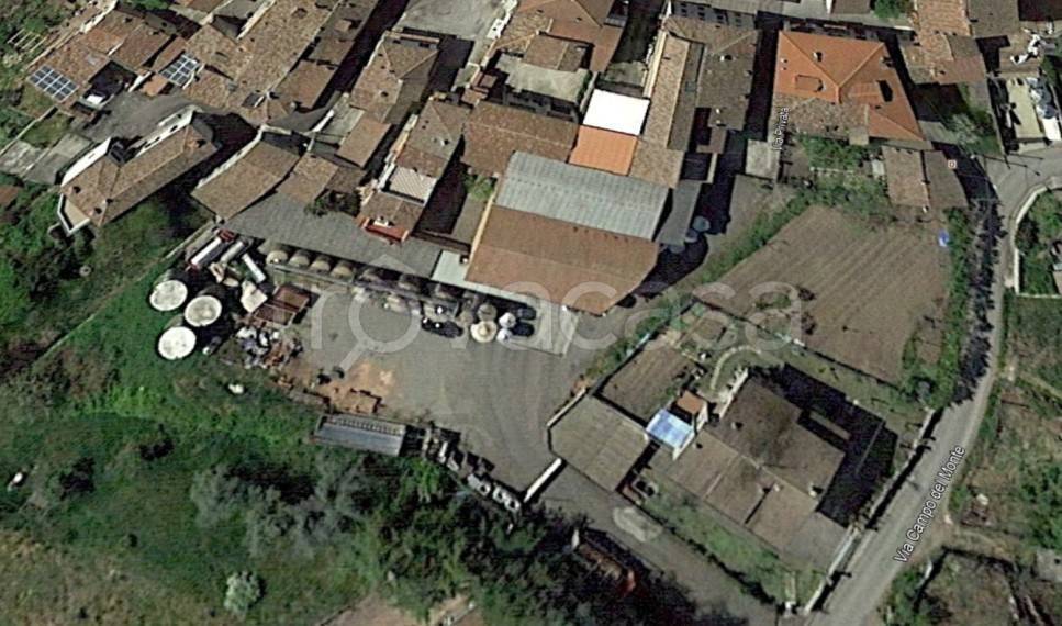 immagine annuncio 4 di 9