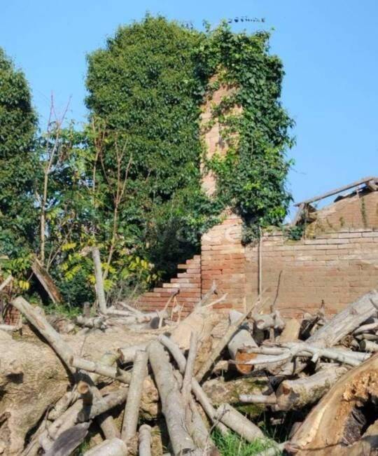 immagine annuncio 5 di 14