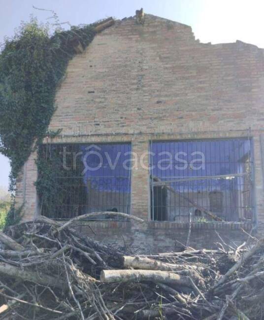 immagine annuncio 6 di 14