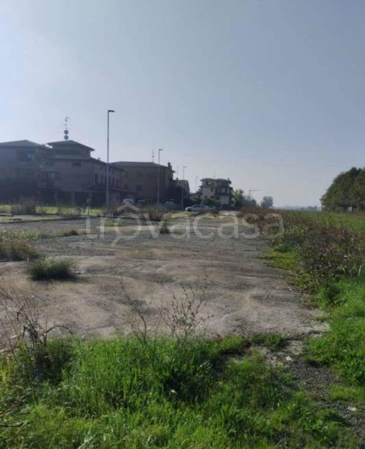 immagine annuncio 9 di 14