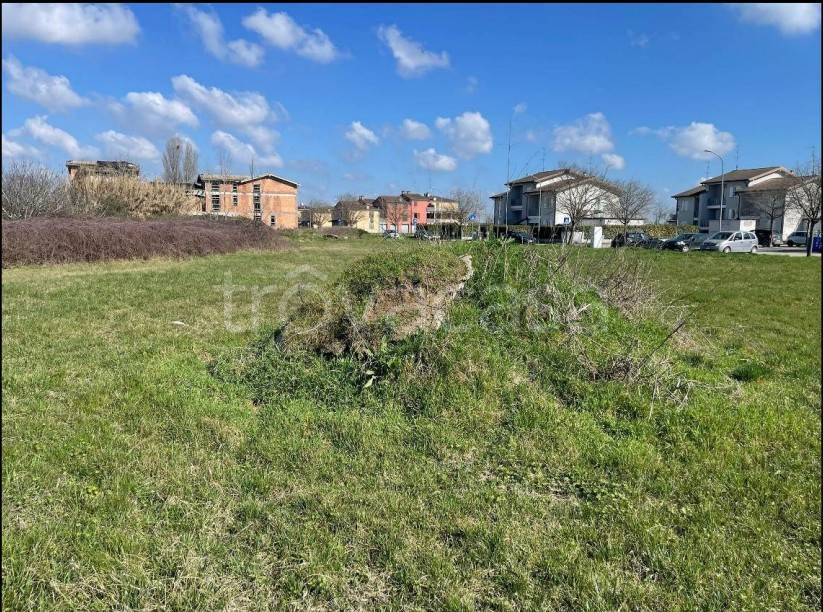 immagine annuncio 6 di 14