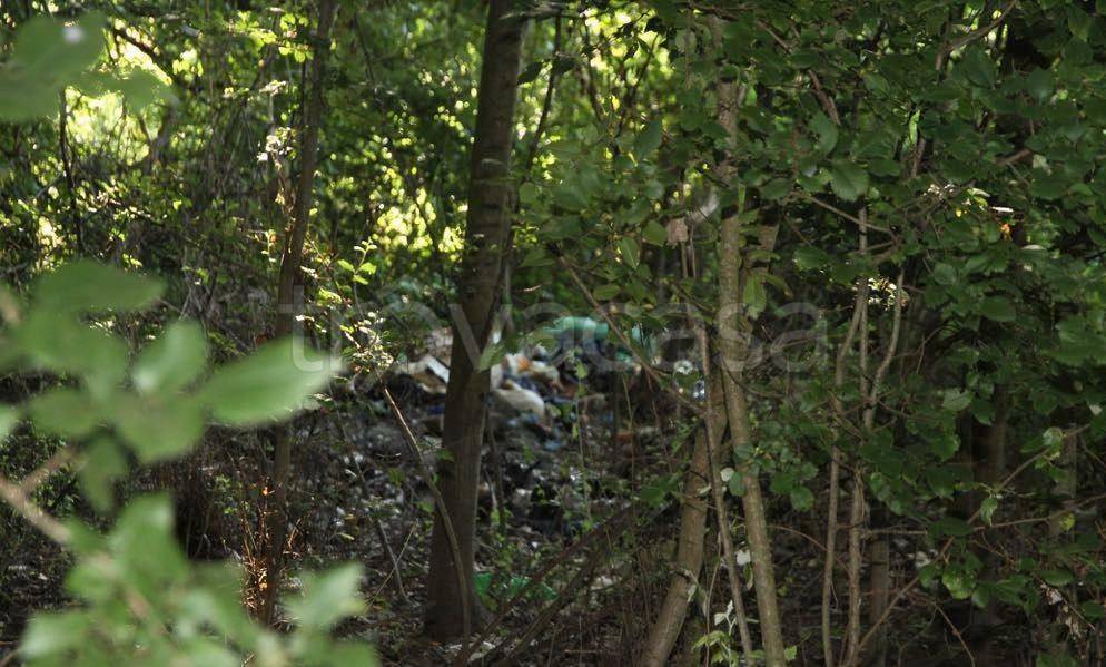 immagine annuncio 4 di 15