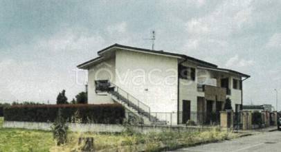 immagine annuncio 1 di 4