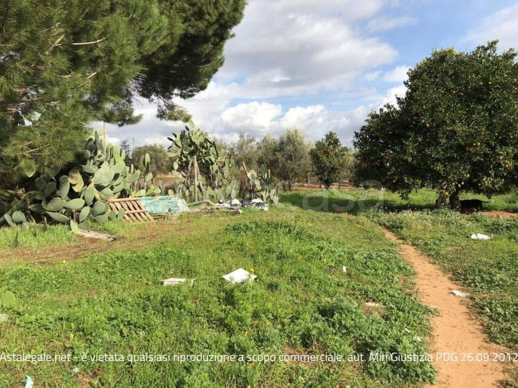 immagine annuncio 4 di 7