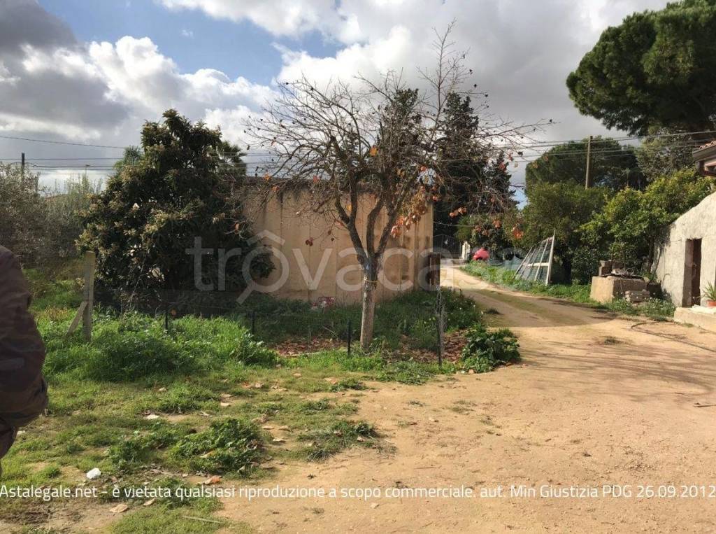 immagine annuncio 5 di 7