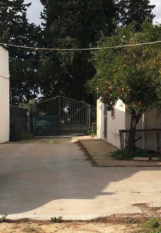 immagine annuncio 6 di 7