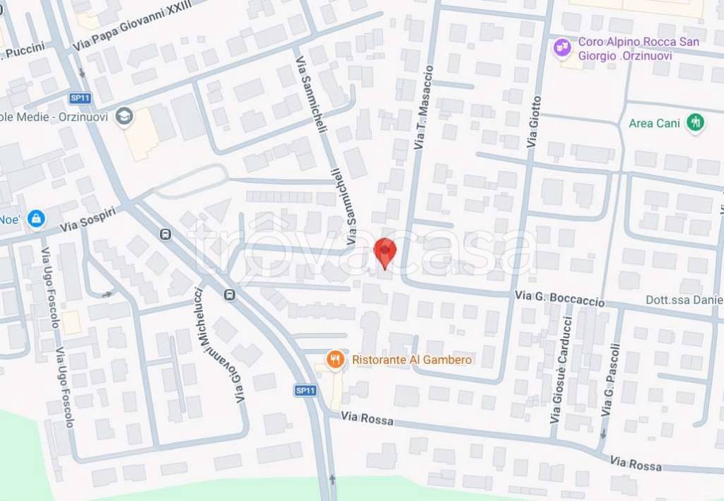 immagine annuncio 3 di 15