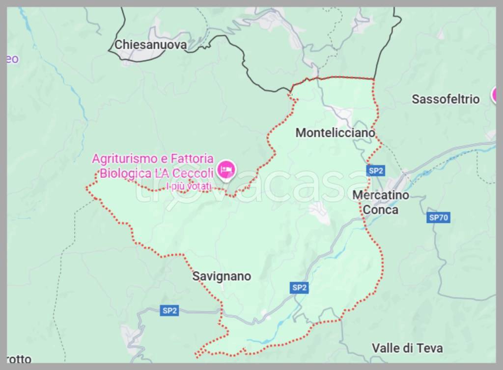 immagine annuncio 12 di 15