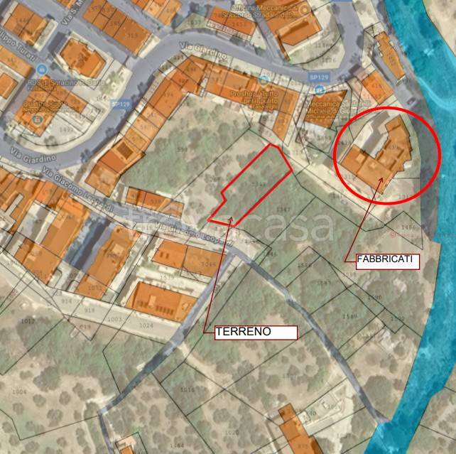 immagine annuncio 2 di 15