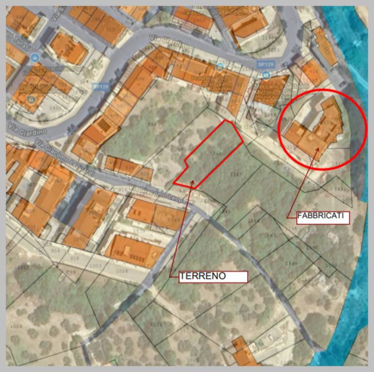 immagine annuncio 6 di 15