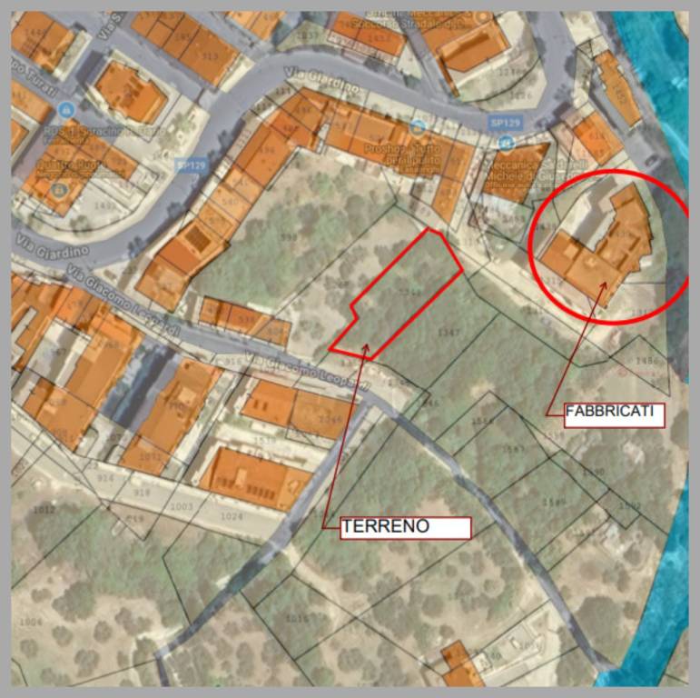 immagine annuncio 10 di 15