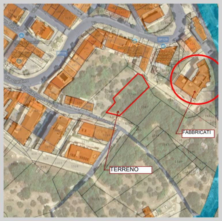 immagine annuncio 14 di 15