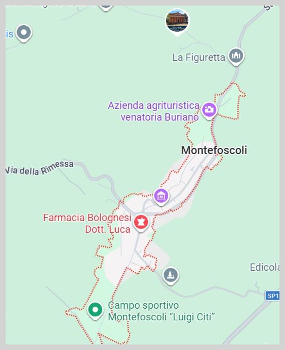 immagine annuncio 12 di 15