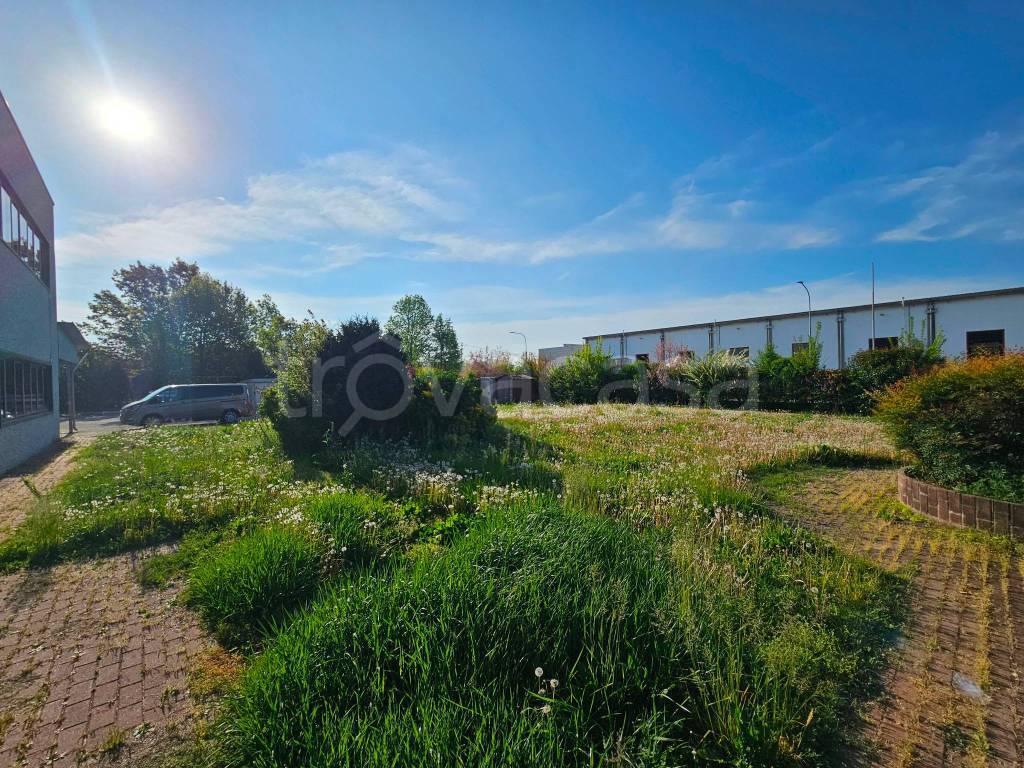 immagine annuncio 7 di 15