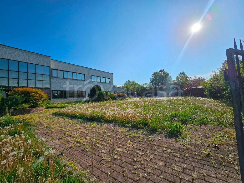 immagine annuncio 2 di 15