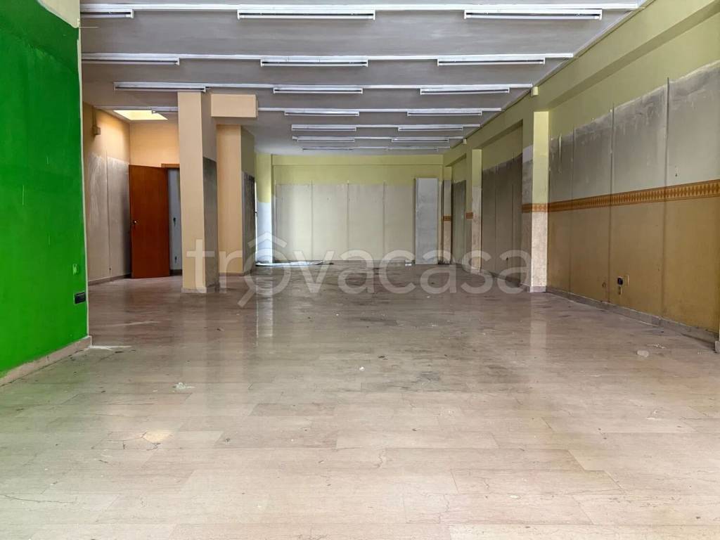 immagine annuncio 3 di 6