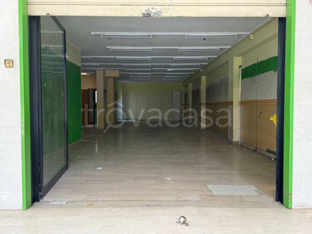 immagine annuncio 4 di 6