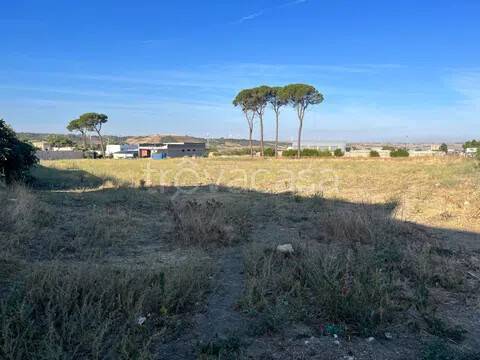 immagine annuncio 3 di 6