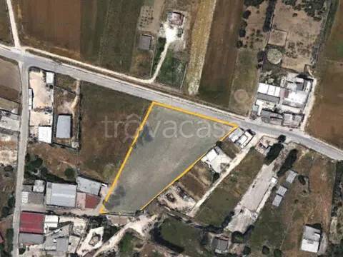 immagine annuncio 5 di 6