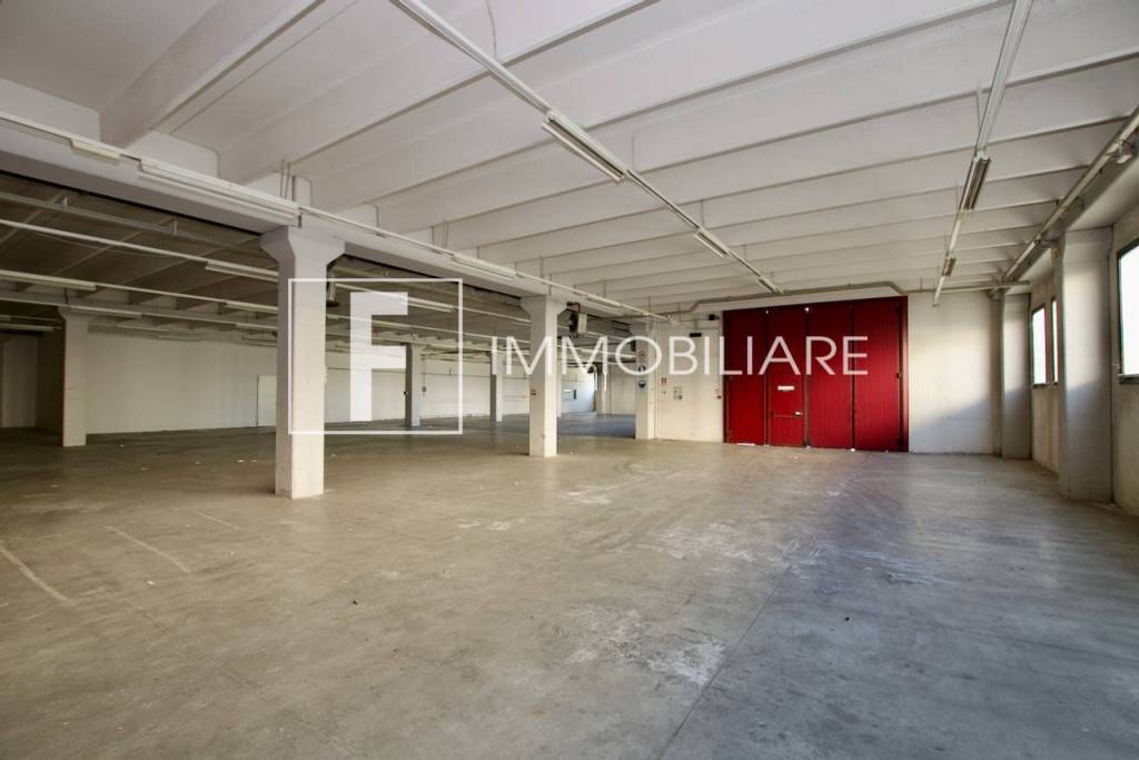 immagine annuncio 6 di 12