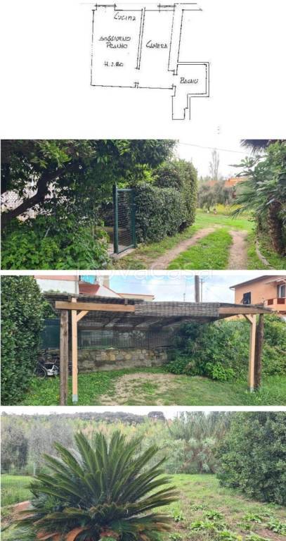 immagine annuncio 4 di 6