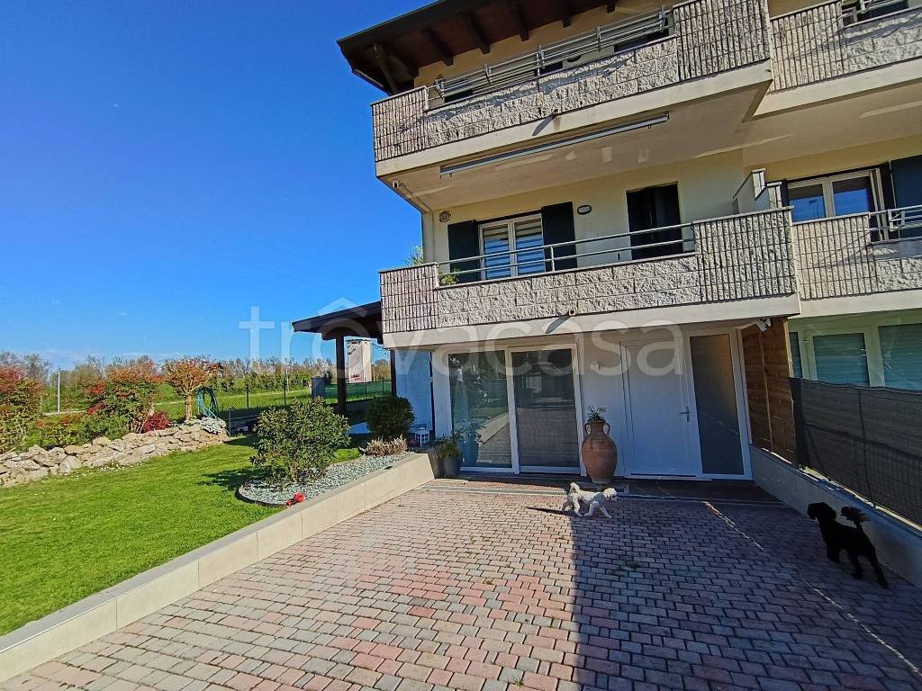 immagine annuncio 5 di 15