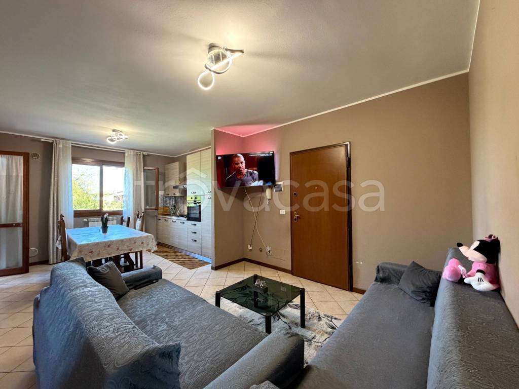 immagine annuncio 2 di 15