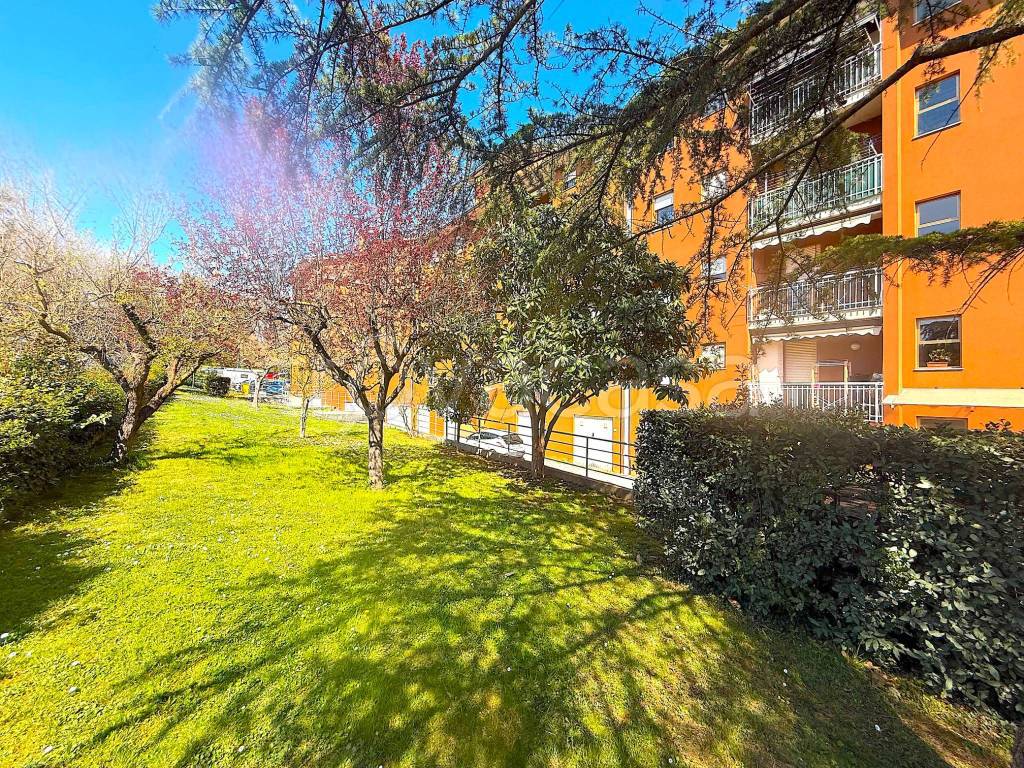 immagine annuncio 2 di 15