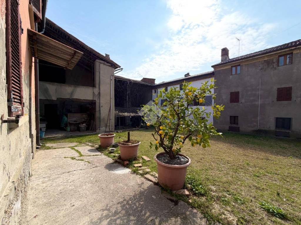 immagine annuncio 5 di 15