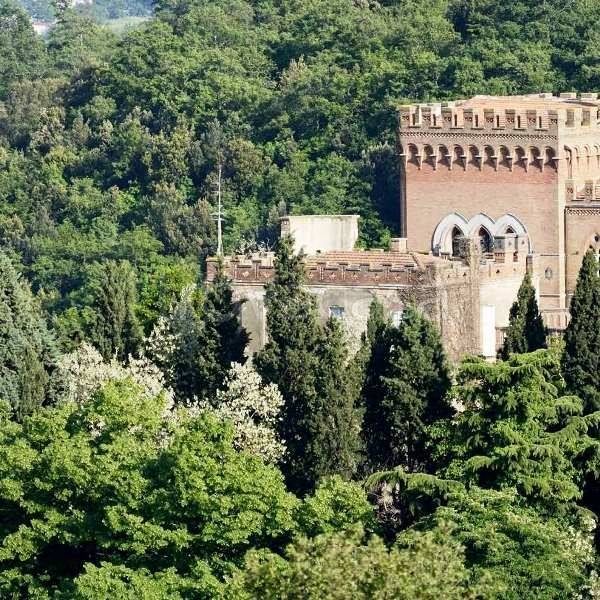 immagine annuncio 3 di 14