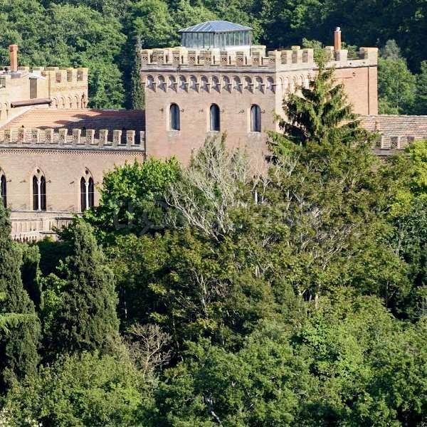 immagine annuncio 4 di 14