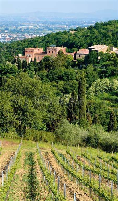 immagine annuncio 6 di 14