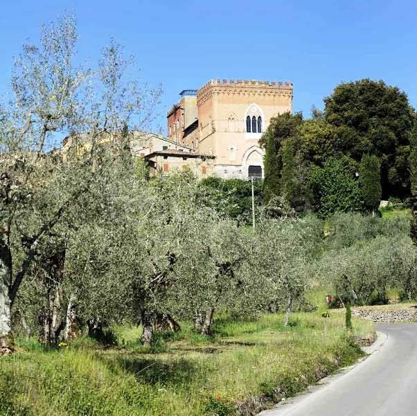 immagine annuncio 8 di 14