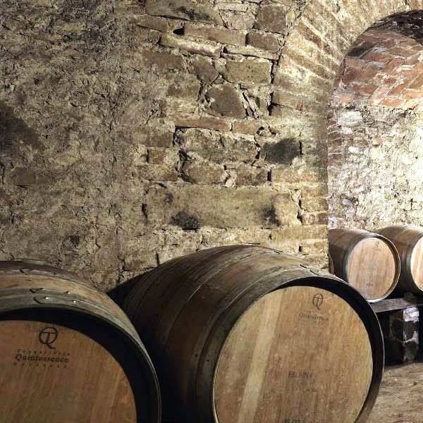 immagine annuncio 13 di 14