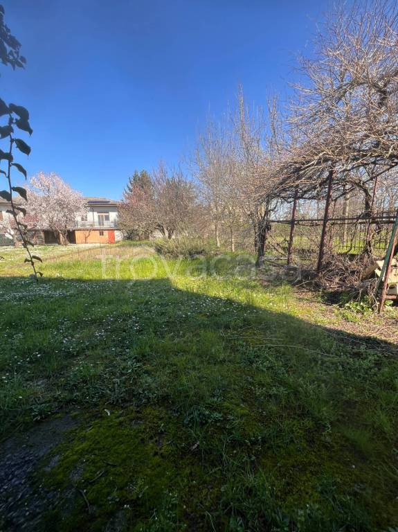 immagine annuncio 9 di 13