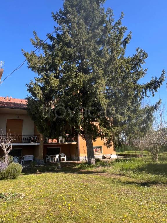 immagine annuncio 10 di 13