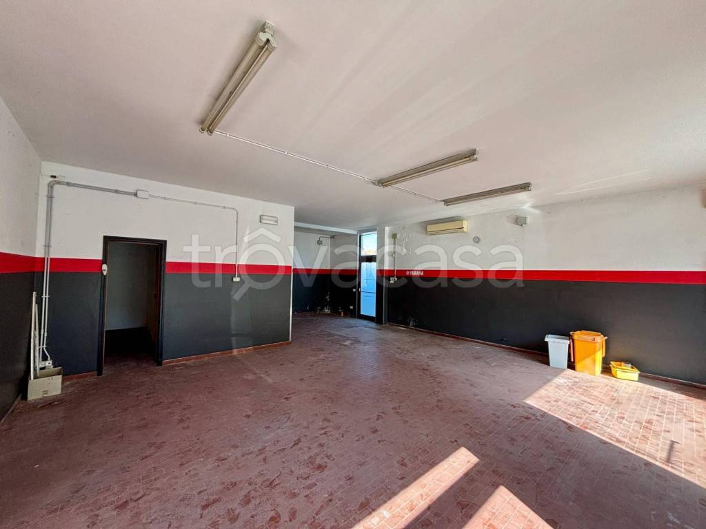 immagine annuncio 9 di 12