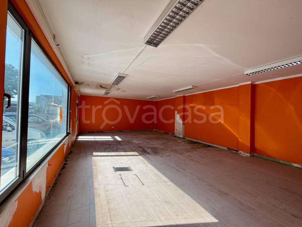 immagine annuncio 10 di 12