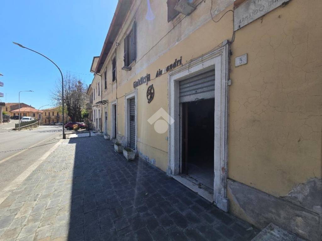 immagine annuncio 3 di 8