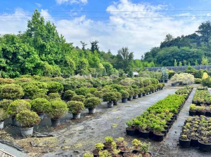 immagine annuncio 4 di 13