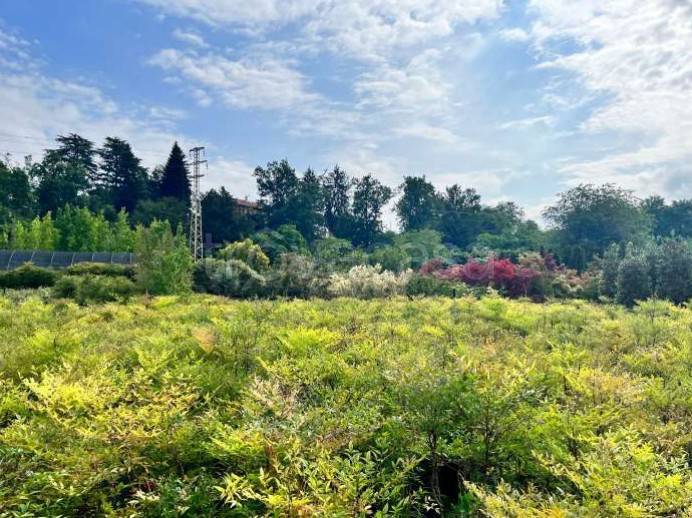 immagine annuncio 5 di 13