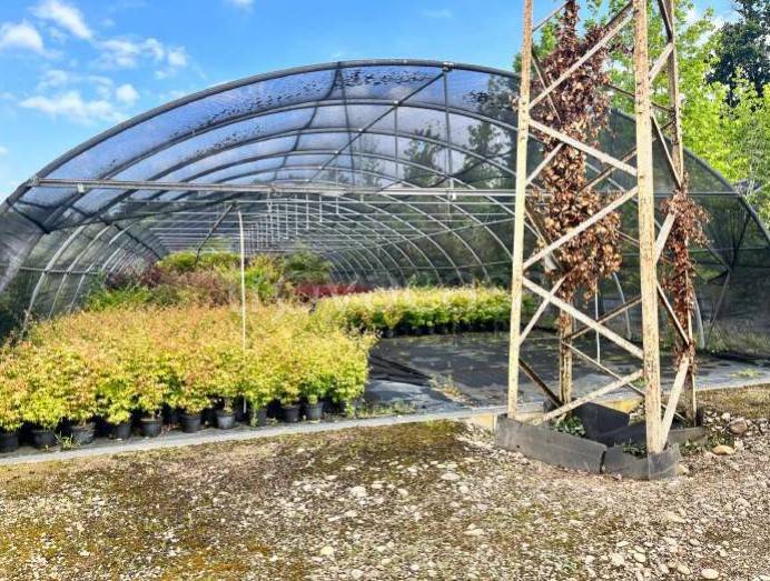 immagine annuncio 10 di 13