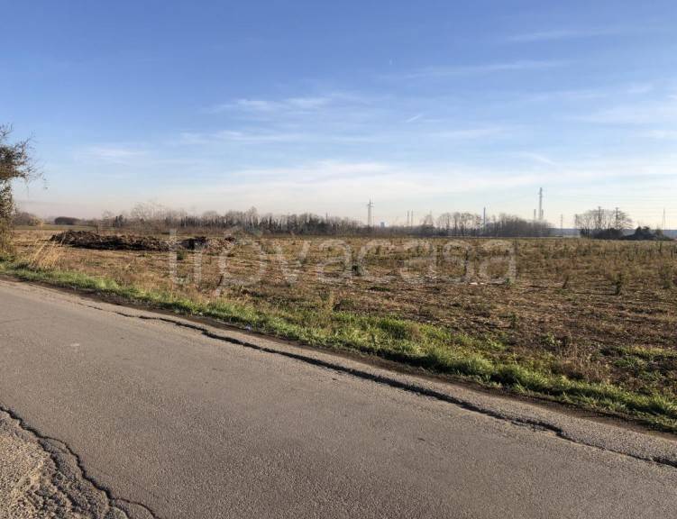 immagine annuncio 4 di 9