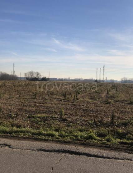 immagine annuncio 5 di 9