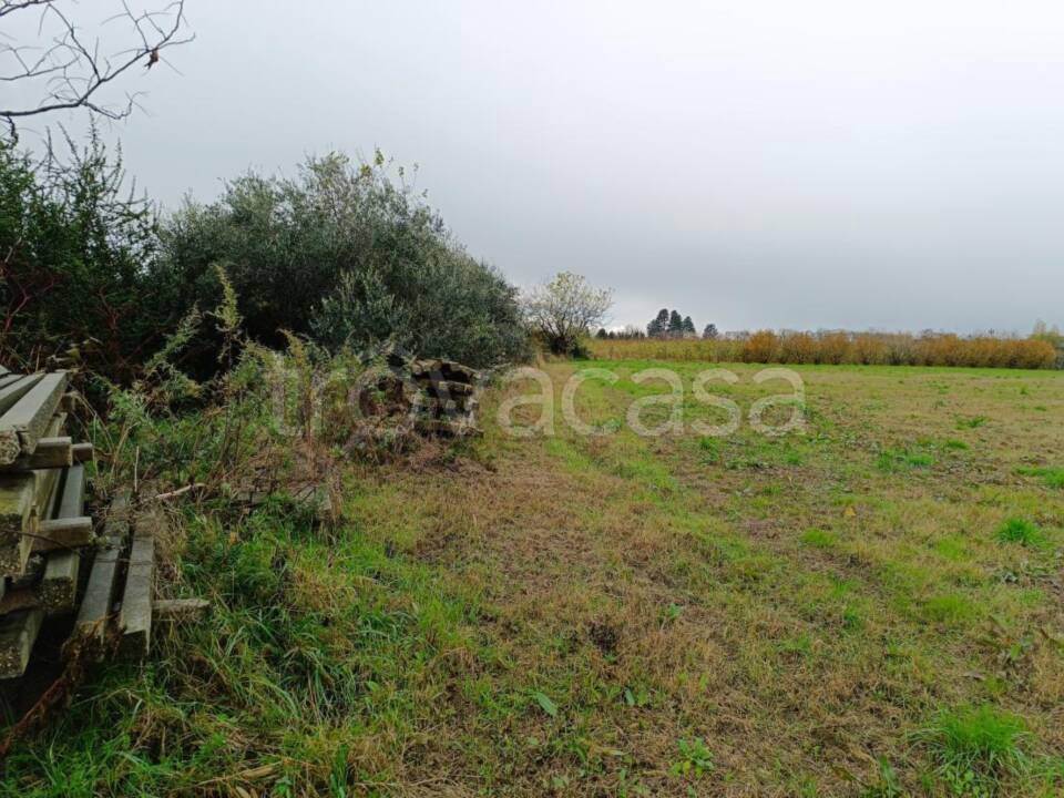 immagine annuncio 3 di 11